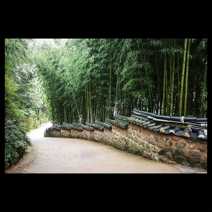 Beomeosa Temple Busan Poster - South Korea Zen Bamboo Forest Path & Traditional Stone Wall Art Print - Peaceful Asian Landscape Wall Decor