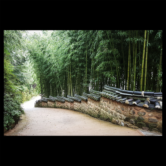 Beomeosa Temple Busan Poster - South Korea Zen Bamboo Forest Path & Traditional Stone Wall Art Print - Peaceful Asian Landscape Wall Decor